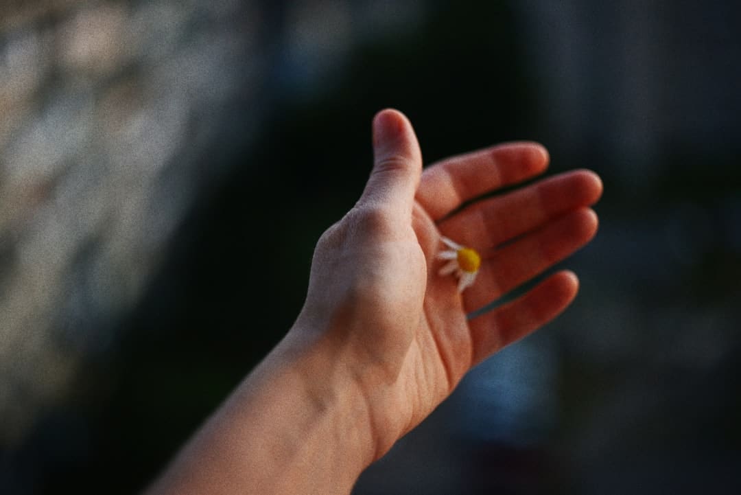 泉州中医药文明夜市 百草笙歌焰火旋绕
